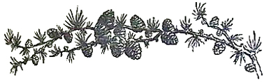 image018
