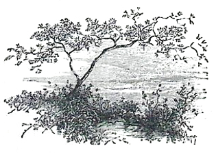 image021