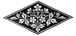 decorative