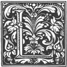 Stylized L