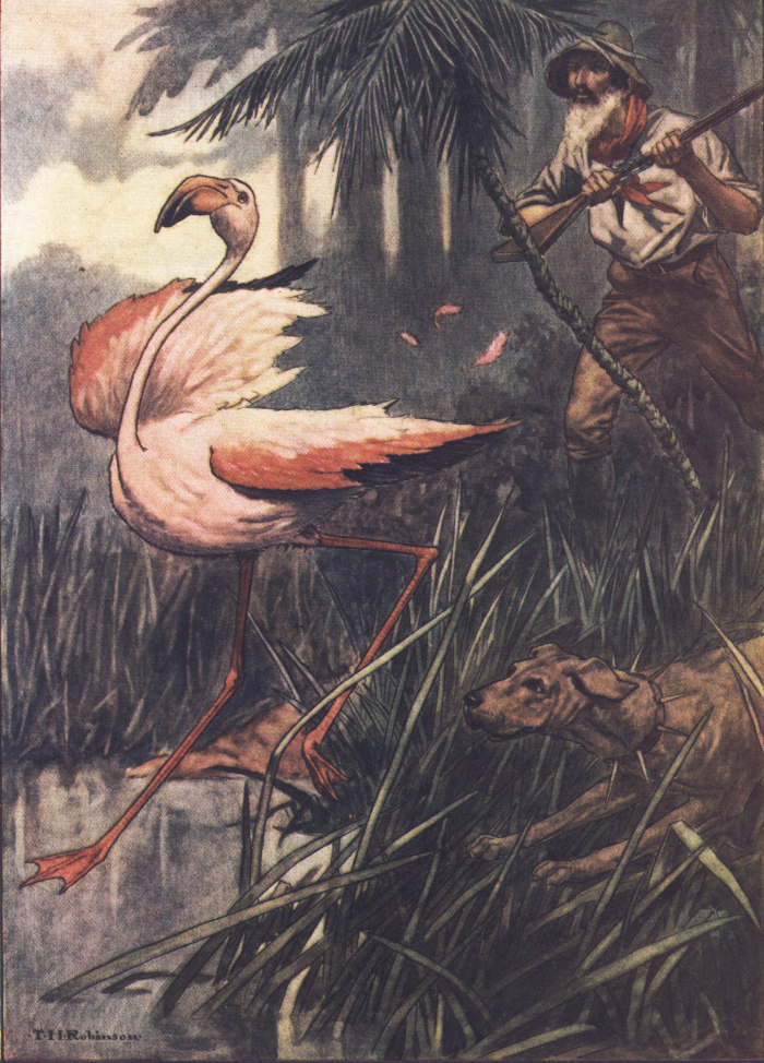 wounded bird