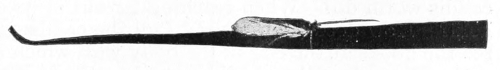 Caddis-fly