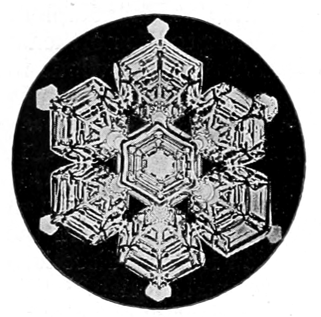 Snow crysal