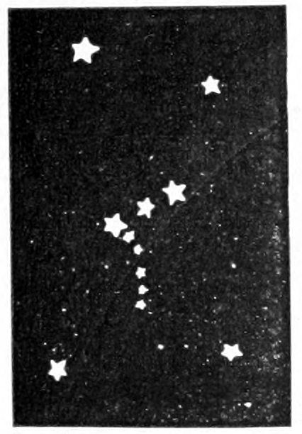 Orion