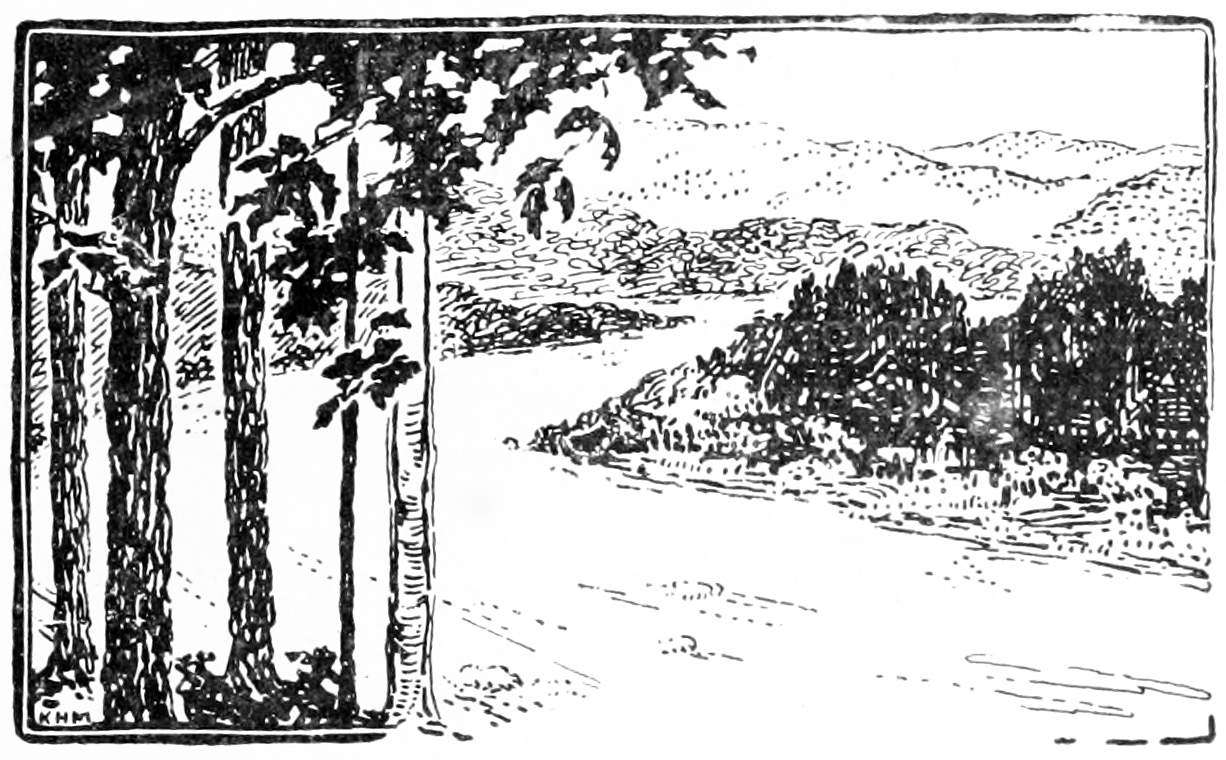 River in the woods