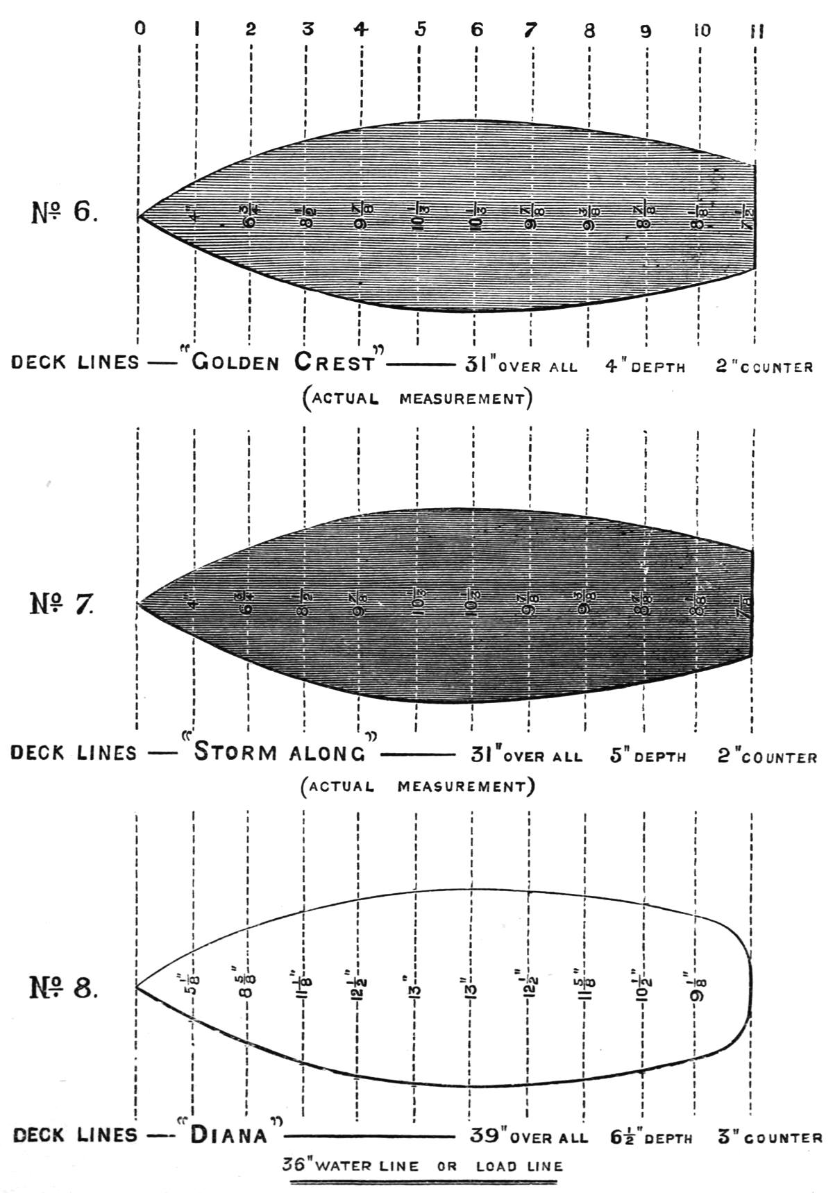 A diagram showing comparative sizes and shapes of various models