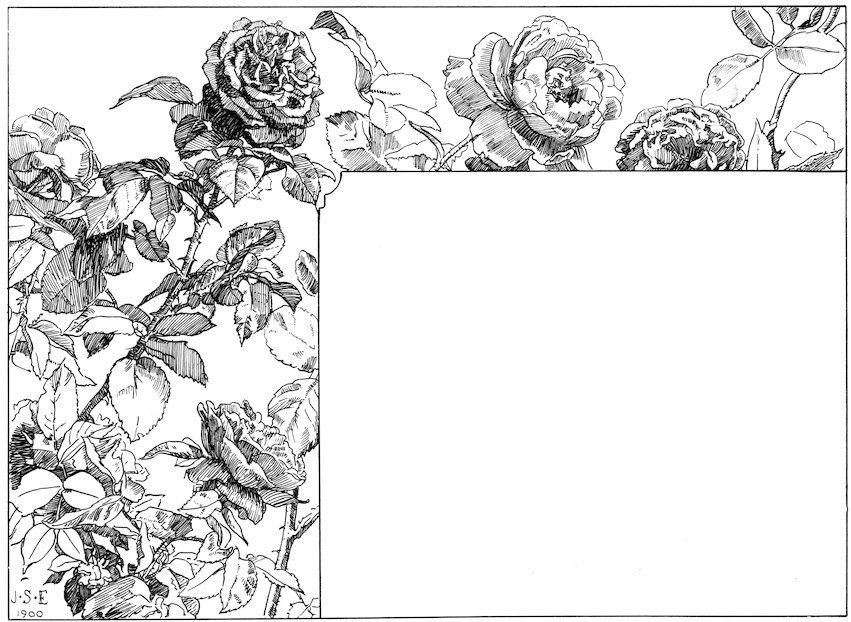 Story page illustration featuring a detailed black and white pen-and-ink sketch of blooming rose bushes.