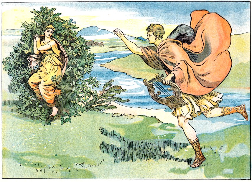 Vibrant color illustration of a young Greek musician with a lyre and a flying cloak running toward a woman whose body is morphing into a leafy laurel bush.