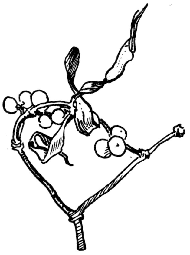 A minimal black and white line-art sketch of a single small mistletoe sprig with narrow leaves and clusters of round white berries.