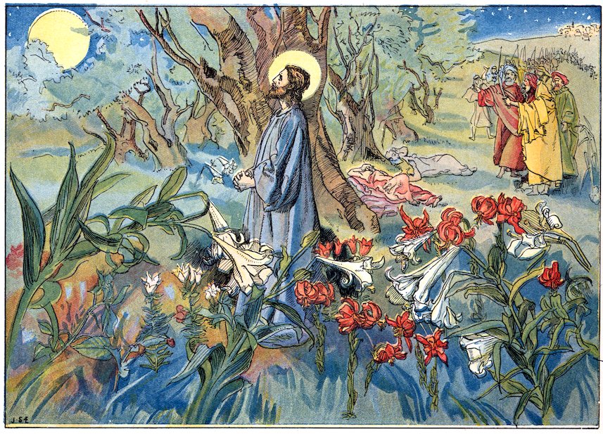 Color illustration of Jesus praying against a tree in a moonlit garden filled with red lilies, while a crowd of soldiers with swords approaches in the background.