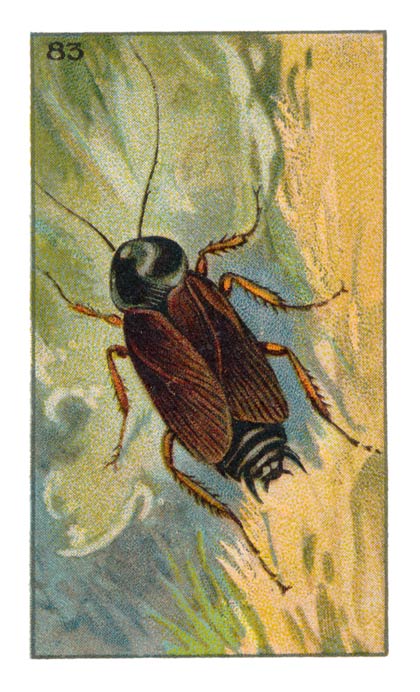 83
