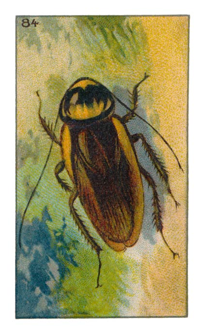 84