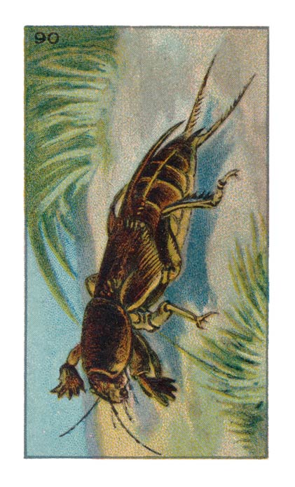 90