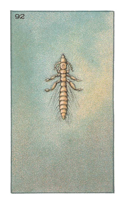 92