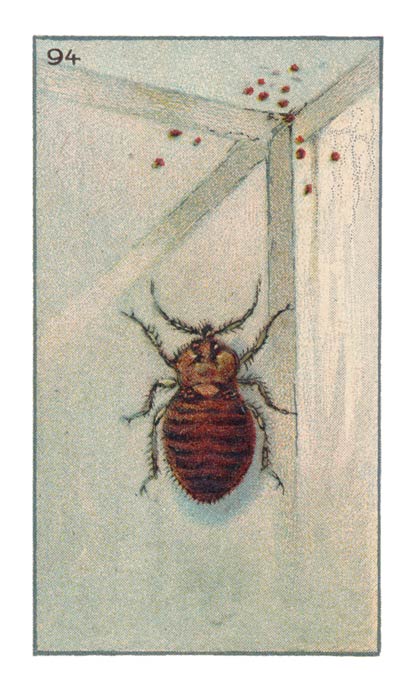 94