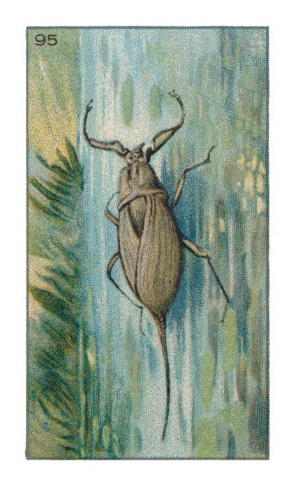 95