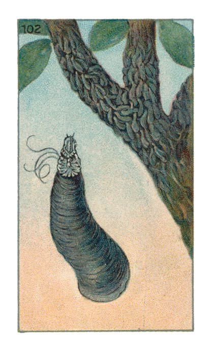 102