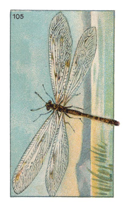 105
