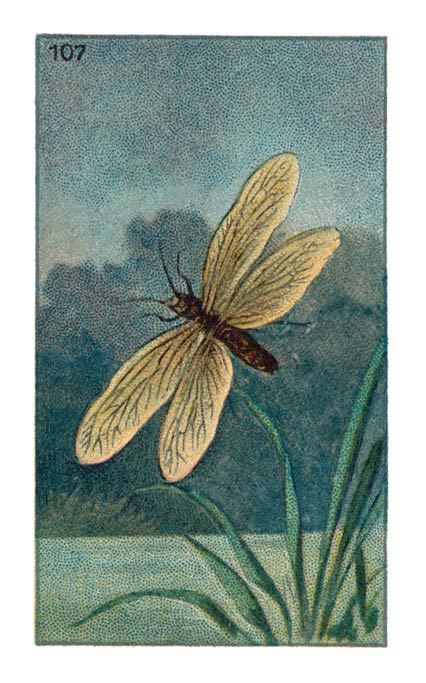 107