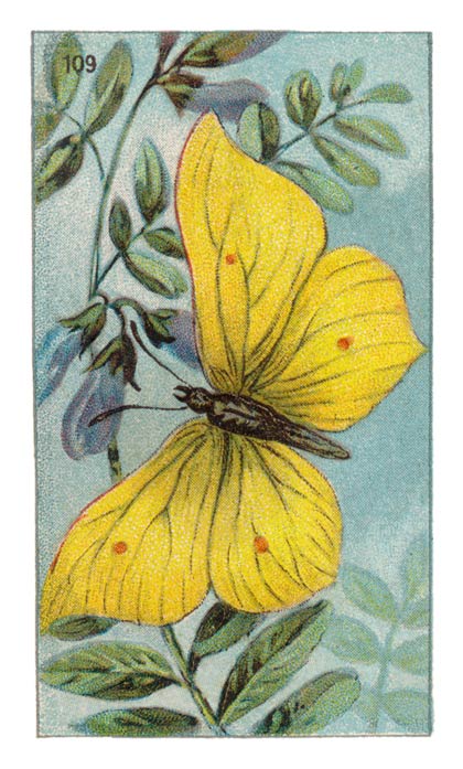 109