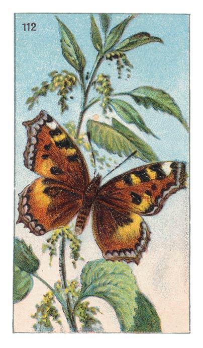 112