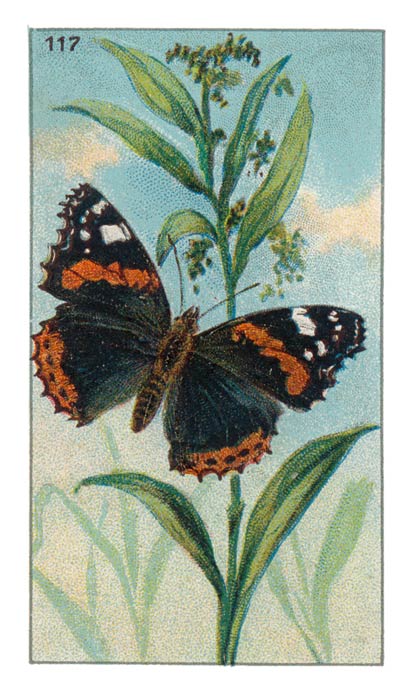 117