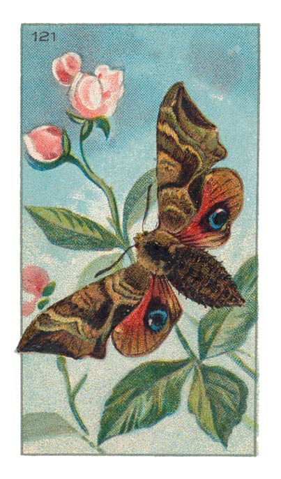 121