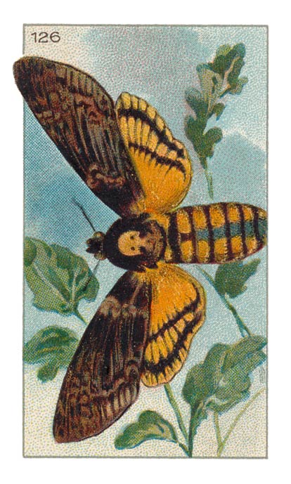 126
