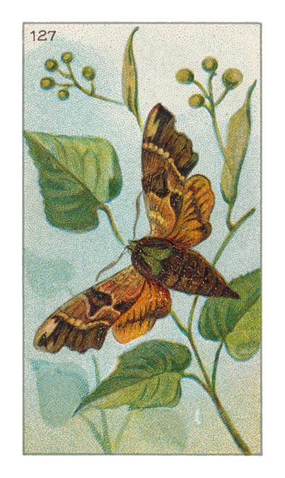 127