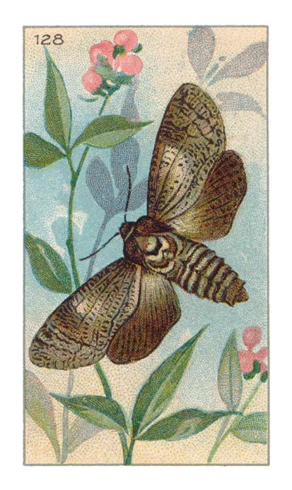 128