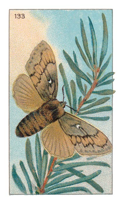 133