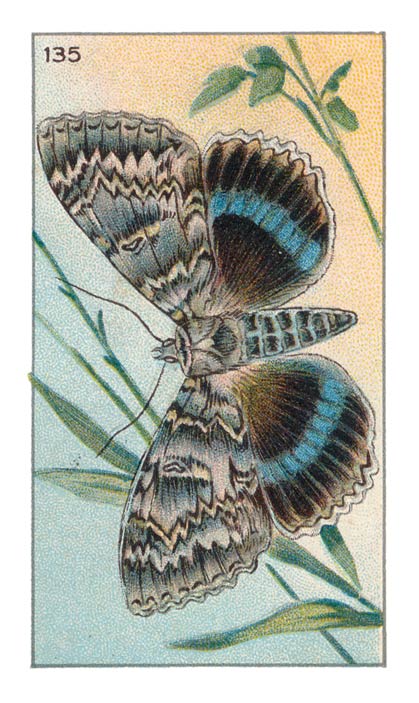 135