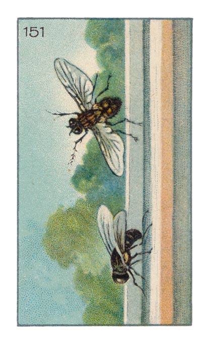 151