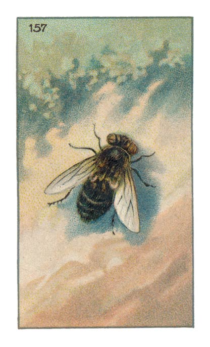 157
