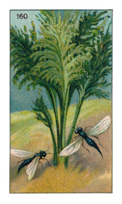 160