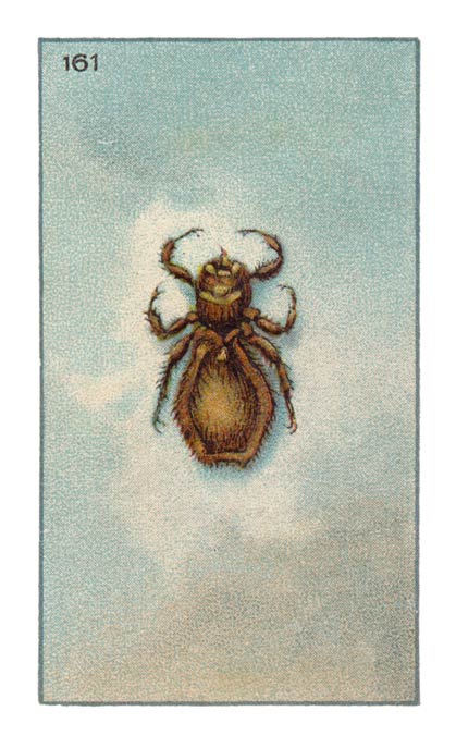 161