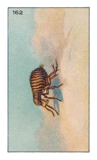 162