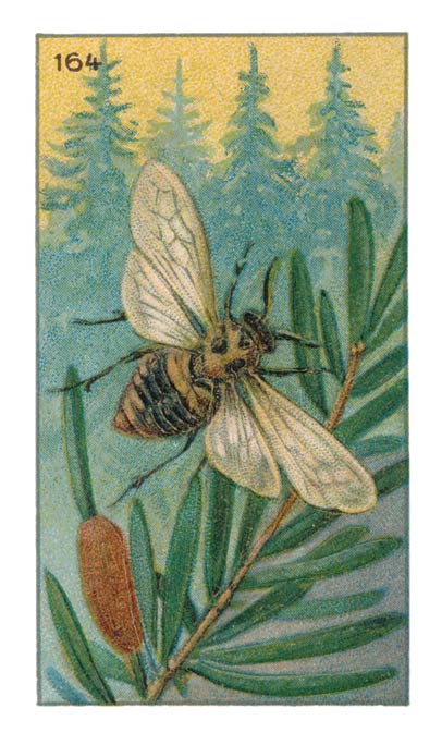164