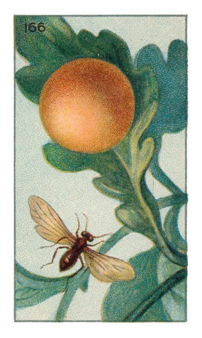166