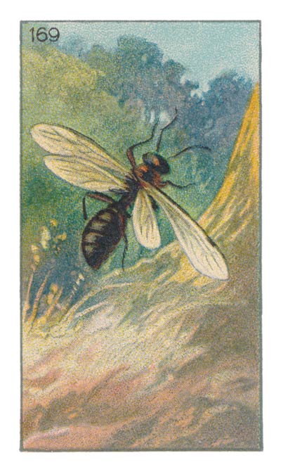 169