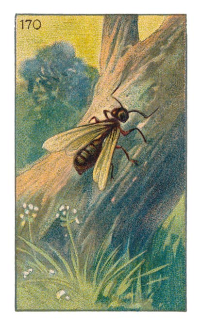 170