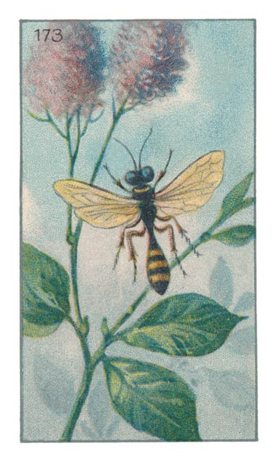 173