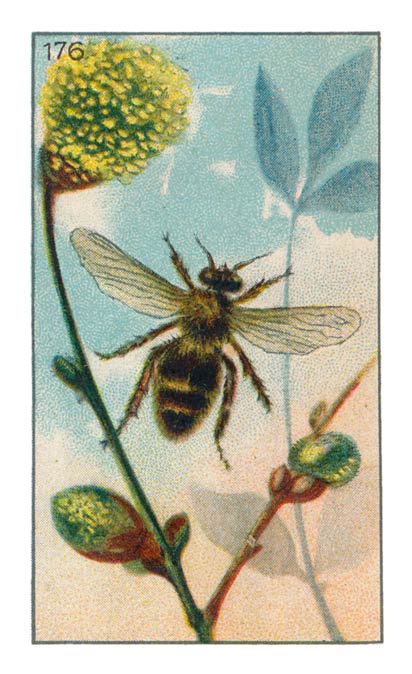 176