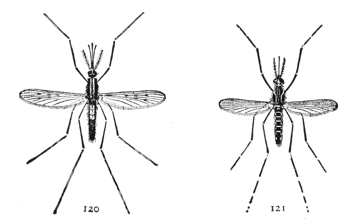 figures 120 and 121