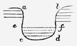 A line drawing of a broad
  U-shaped depression. Short parallel horizontal lines extend inward from
  both the left and right sides at different heights, with small lowercase
  letters a b c d e f marking positions around the outline and interior.