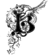 B