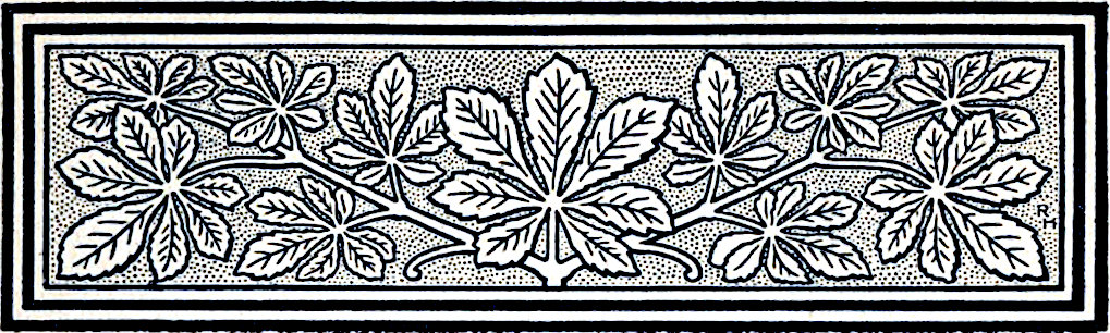 Decorative line drawing
