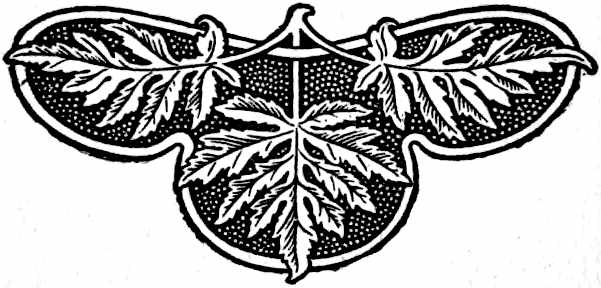 Decorative line drawing