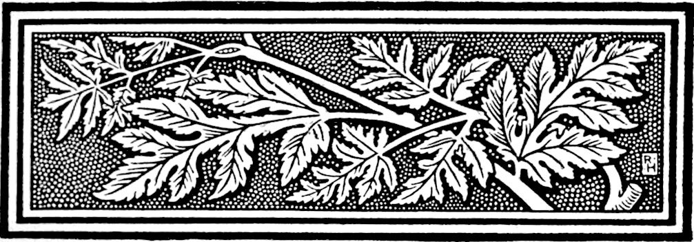 Decorative line drawing