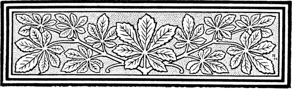 Decorative line drawing